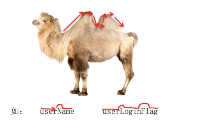 1570598945486772.jpg 003_驼峰命名法.jpg